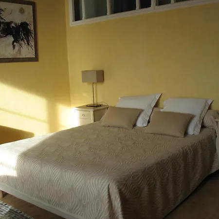 Costeur Solviane Hotel Saint-Raphaël